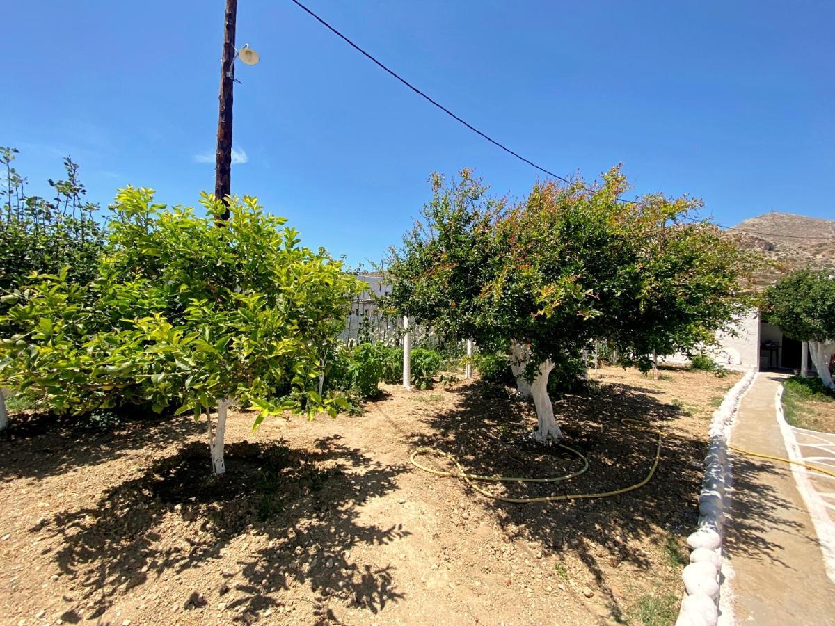Apartment Michail Karpathos Afiartis